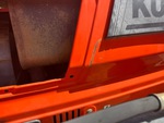 General Appearance with Paint