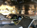 v2 Chassis - Excavator with