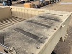 General Appearance with Paint