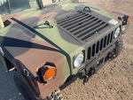 General Appearance with Paint