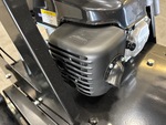 Engine with Exhaust System