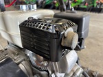 Engine with Exhaust System