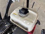 Engine with Fuel System