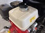 Engine with Fuel System