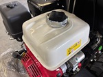 Engine with Fuel System