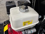 Engine with Fuel System