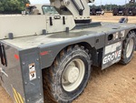 General Appearance with Paint
