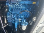 Engine with Oil Leaks