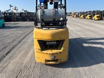 General Appearance with Paint