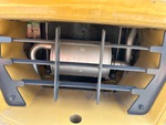 Engine with Exhaust System