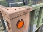 General Appearance with Paint