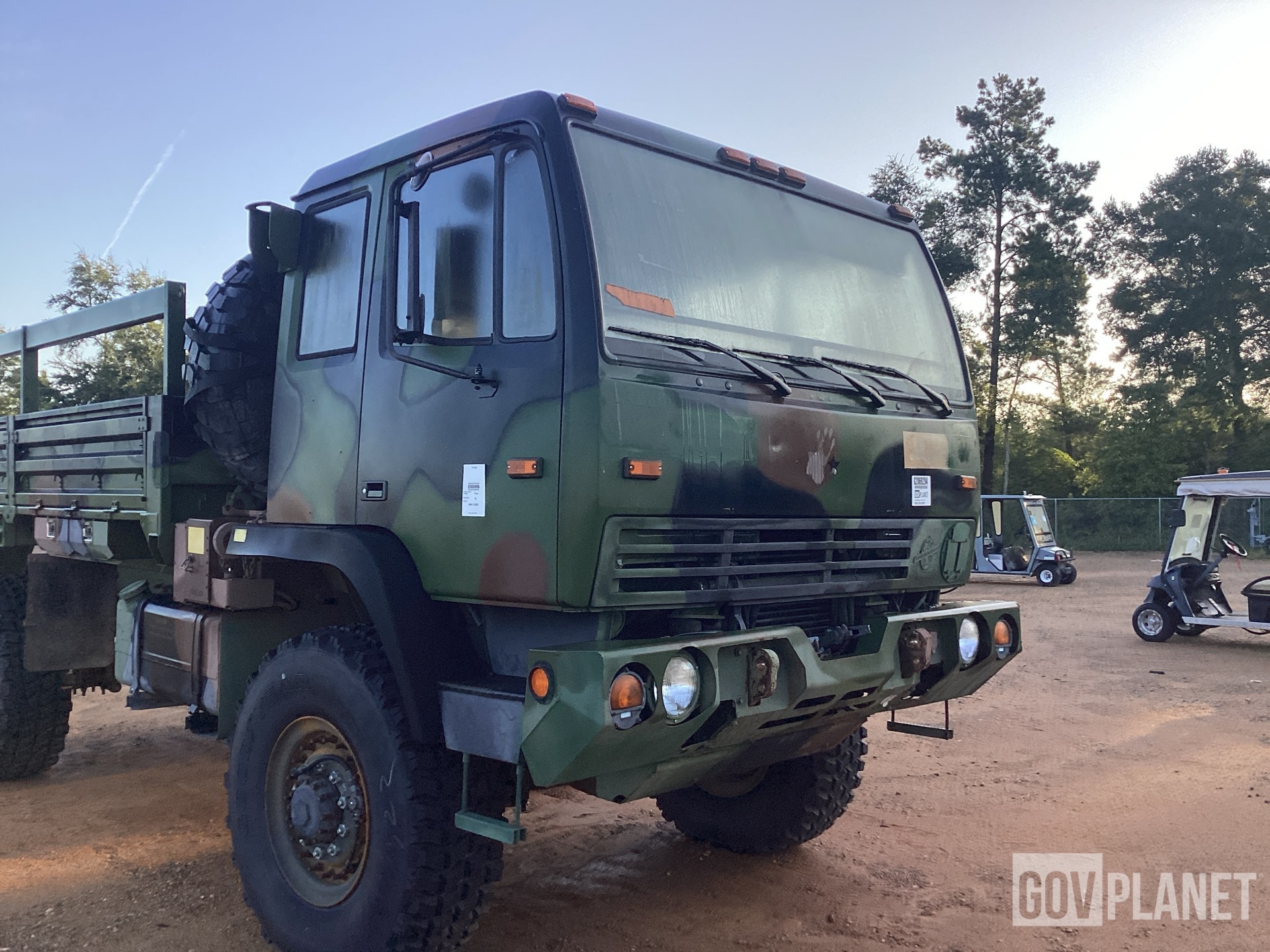 General Appearance with Paint