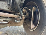 Underbody with Bujes de Suspensión