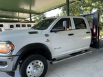 General Appearance with Pintura