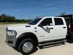General Appearance with Pintura