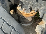 4 Underbody - Truck with Suspension Air Bags