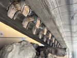Undercarriage with Rubber Belt Drive Lugs