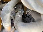 Engine with Exhaust System