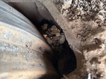 Undercarriage with Left Track Tensioner