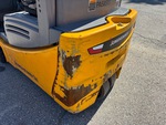 General Appearance with Paint