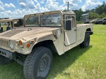 General Appearance with Paint