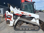 General Appearance with Paint