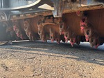 Chassis with Rotor Mandrel