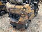 General Appearance with Paint