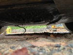 Engine with Oil Leaks