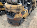 General Appearance with Paint