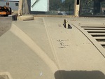 General Appearance with Paint