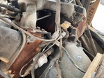 Engine with Oil Pump/Tach Drive (behind doghouse cover)