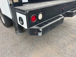 General Appearance with Paint