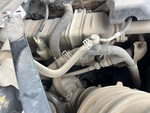 Engine with Exhaust System