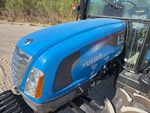 General Appearance with Paint