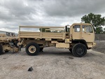 General Appearance with Paint