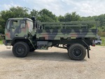 General Appearance with Paint