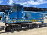 General Appearance with Paint