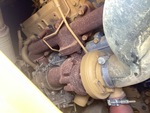 Engine with Exhaust System