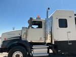 General Appearance with Paint
