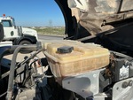 Engine with Radiator