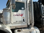 General Appearance with Paint