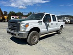 General Appearance with Spin