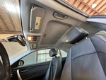 Interior with Head Liner