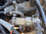 Engine with Exhaust System