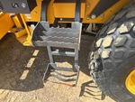 General Appearance with Steps/Ladders