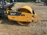 General Appearance with Paint