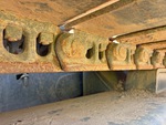 Undercarriage with Right Track Links