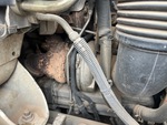 Motor with Exhaust System