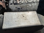 Motor with Emission Label